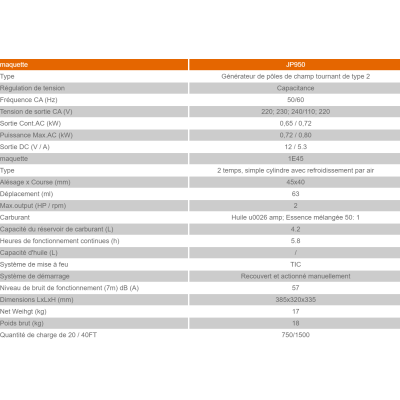 GROUPE ELECTROGENE ESSENCE 750 W - GENERATEUR